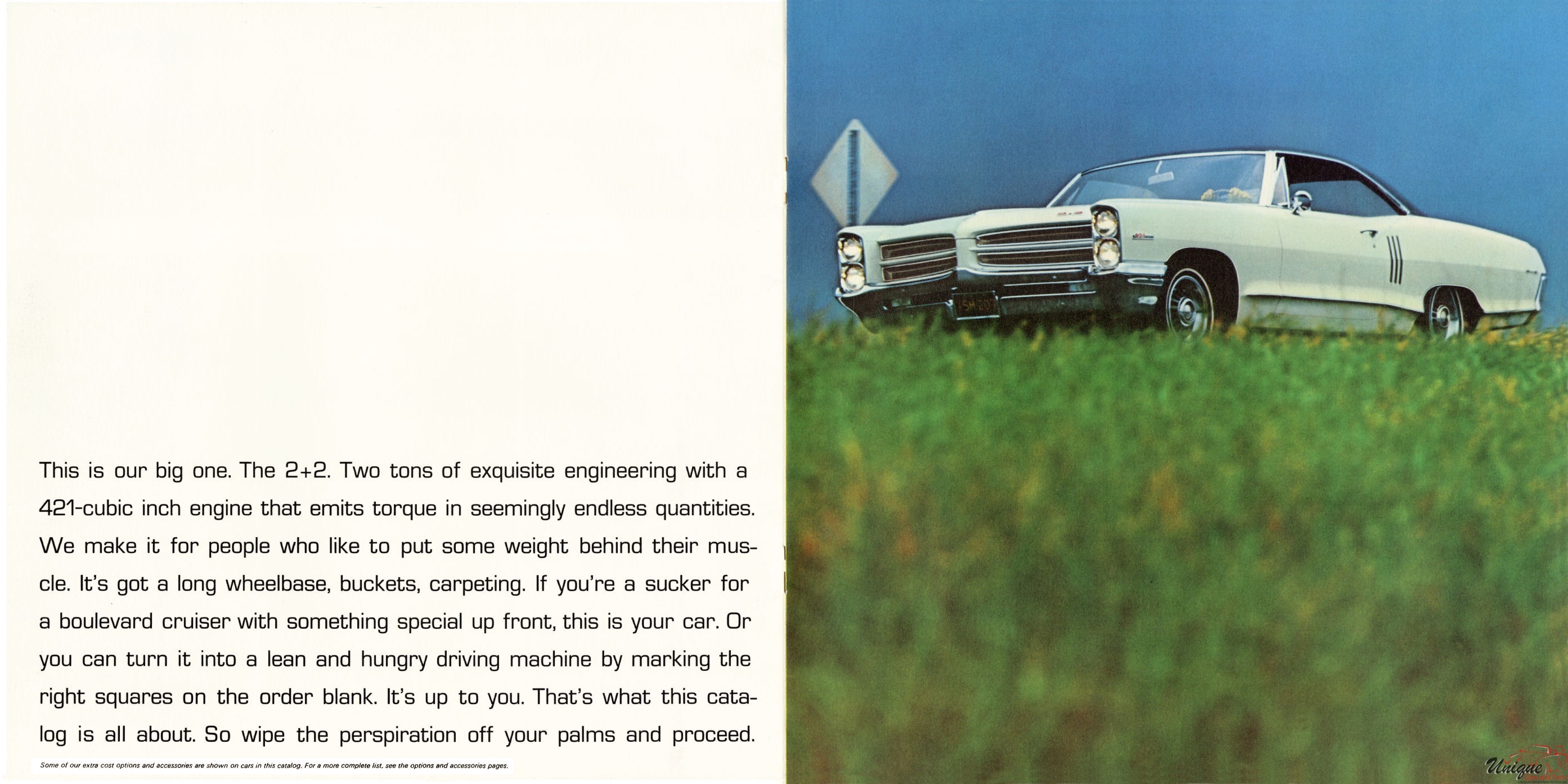 1966 Pontiac Performance Brochure Page 5